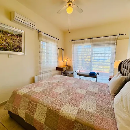 Gladiolus 尼奥克瑞奥