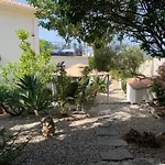Gladiolus Villa